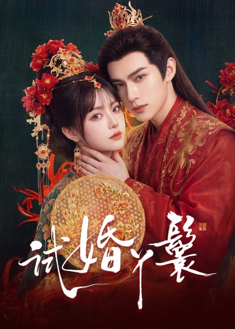 مسلسل خادمة المحاكمة The Trial Handmaiden الحلقة 6 مترجمة