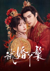 مسلسل خادمة المحاكمة The Trial Handmaiden الحلقة 4 مترجمة